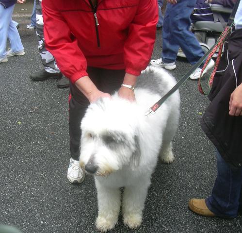 /images/events/18/Lexington BBQ Festival 2008 008.jpg